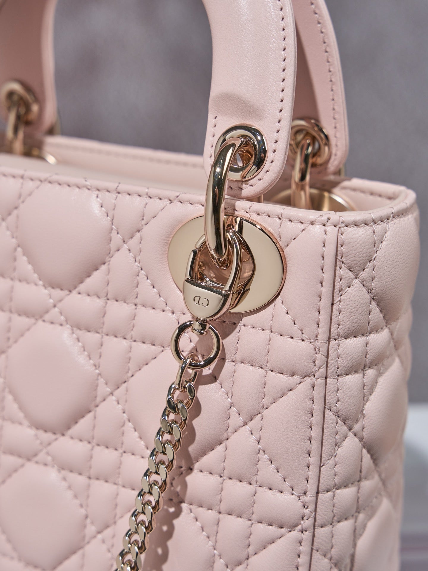 디올 레이디백 미니