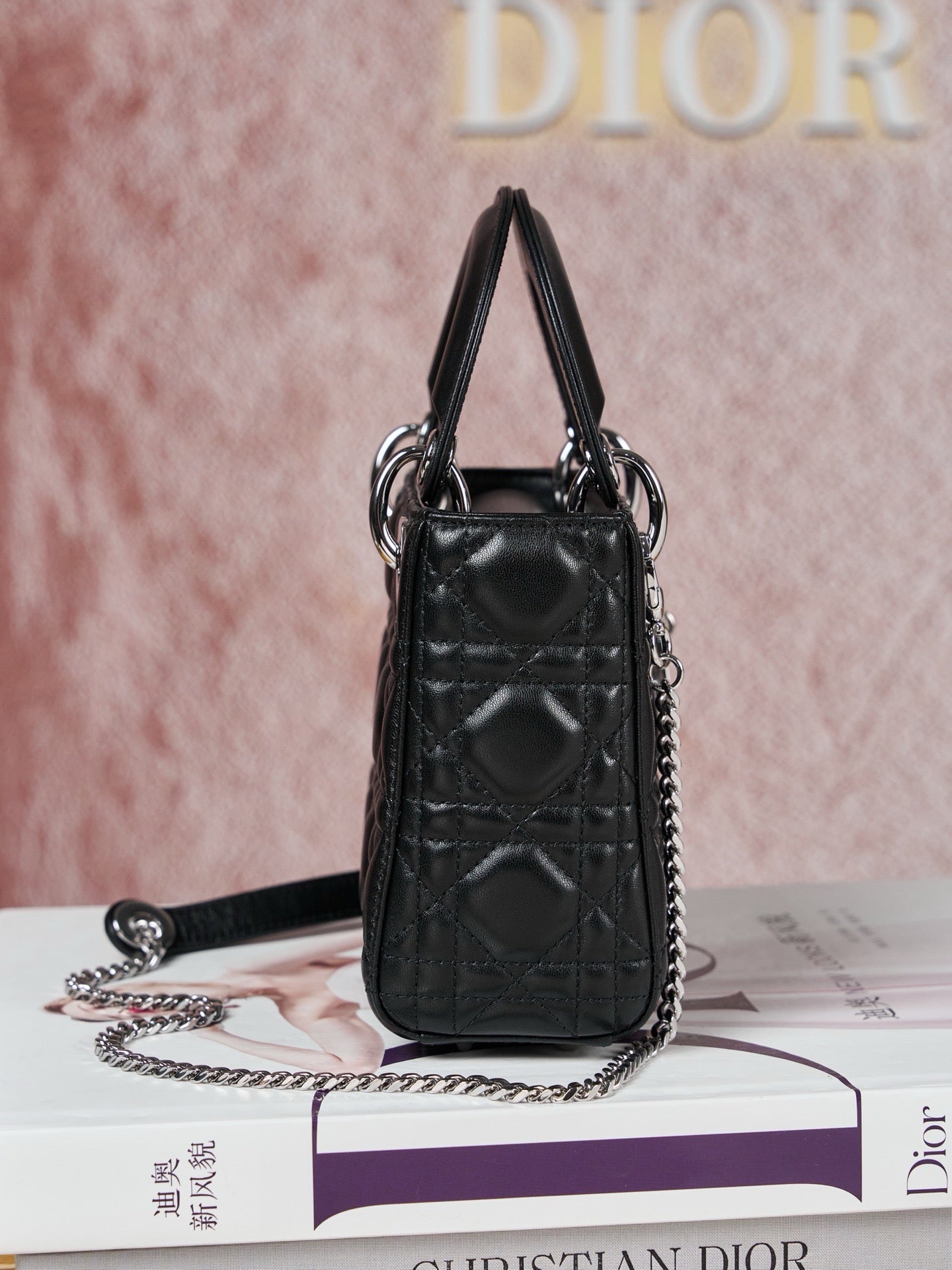 디올 레이디백 미니