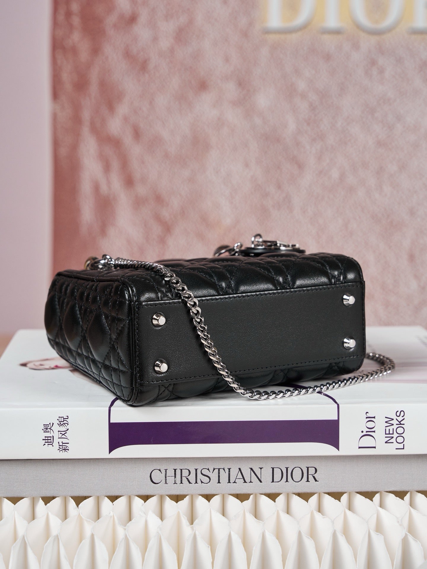 디올 레이디백 미니