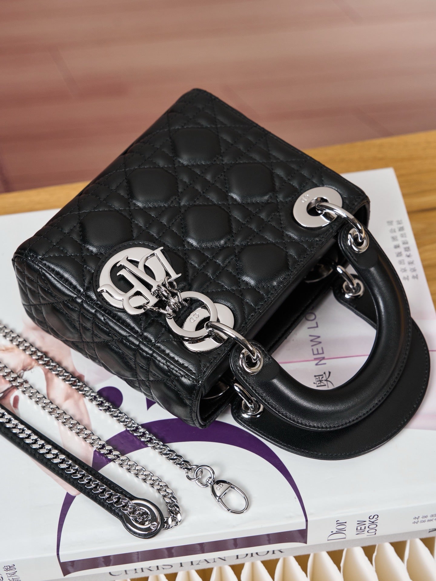 디올 레이디백 미니