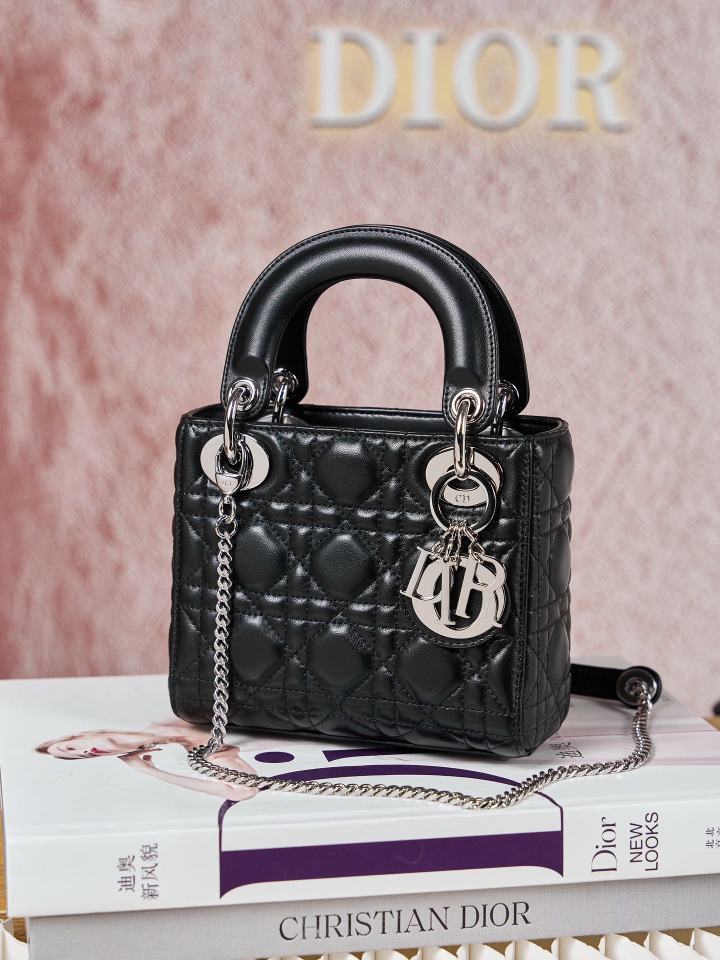 디올 레이디백 미니