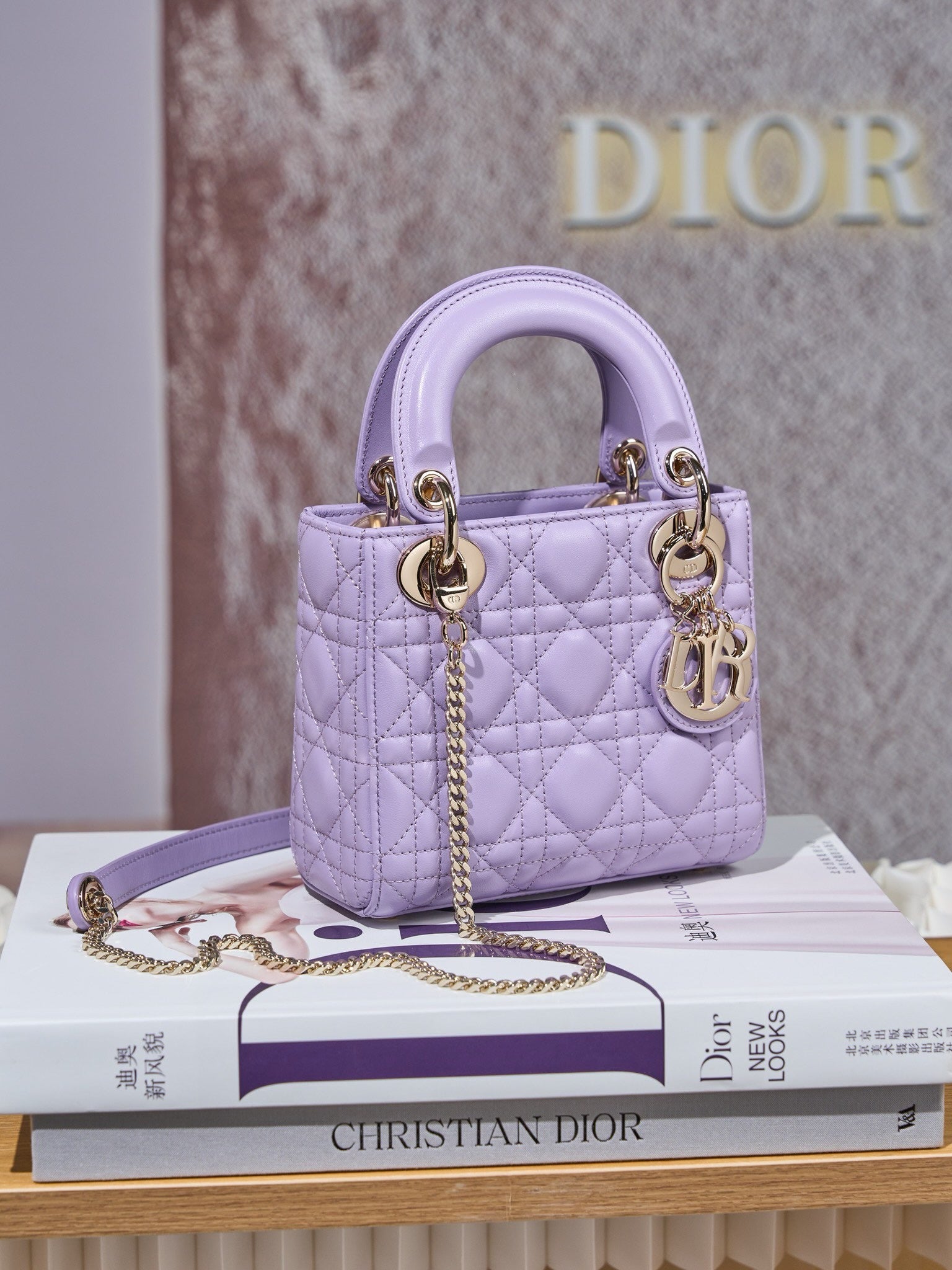 디올 레이디백 미니