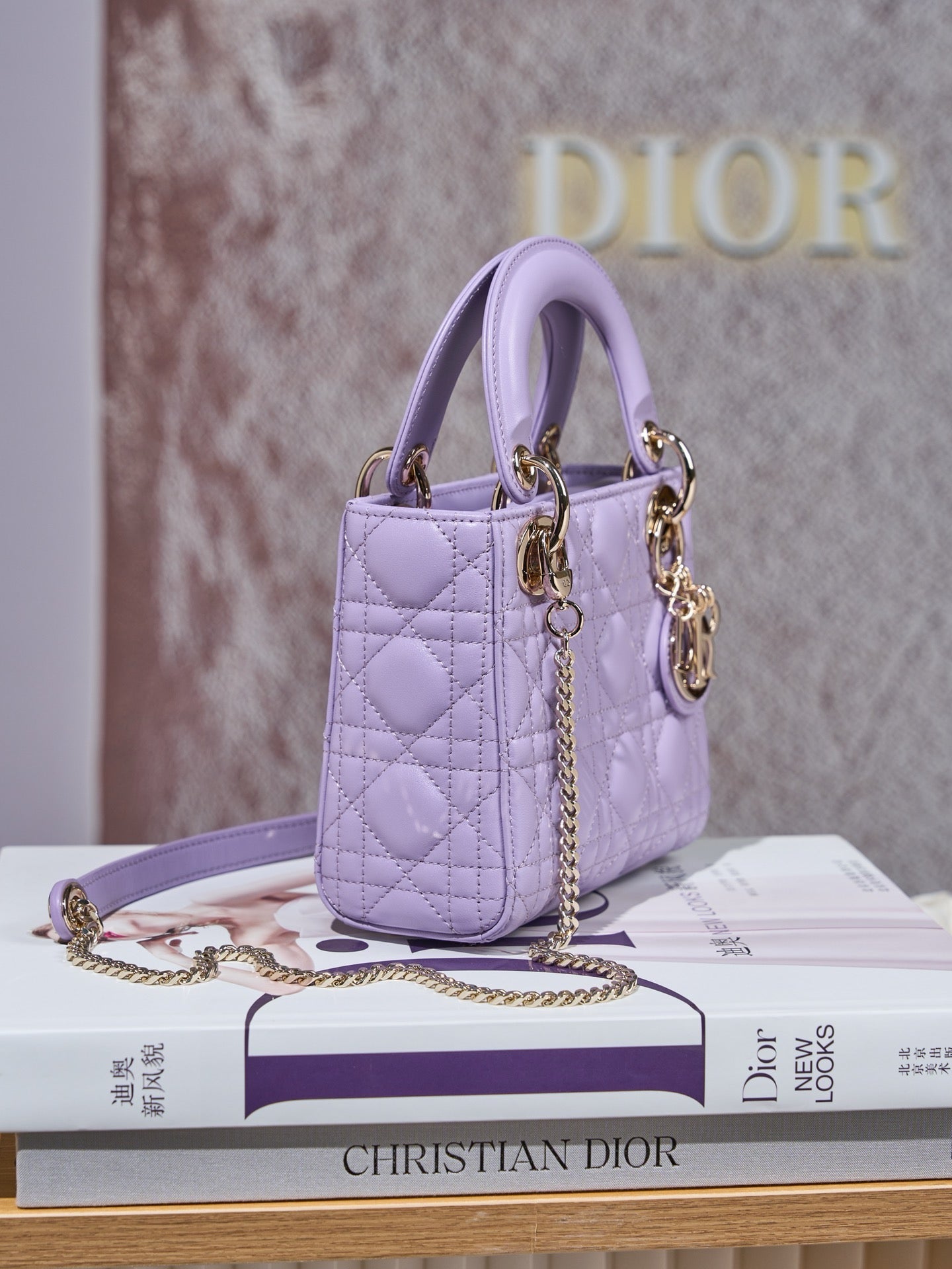 디올 레이디백 미니