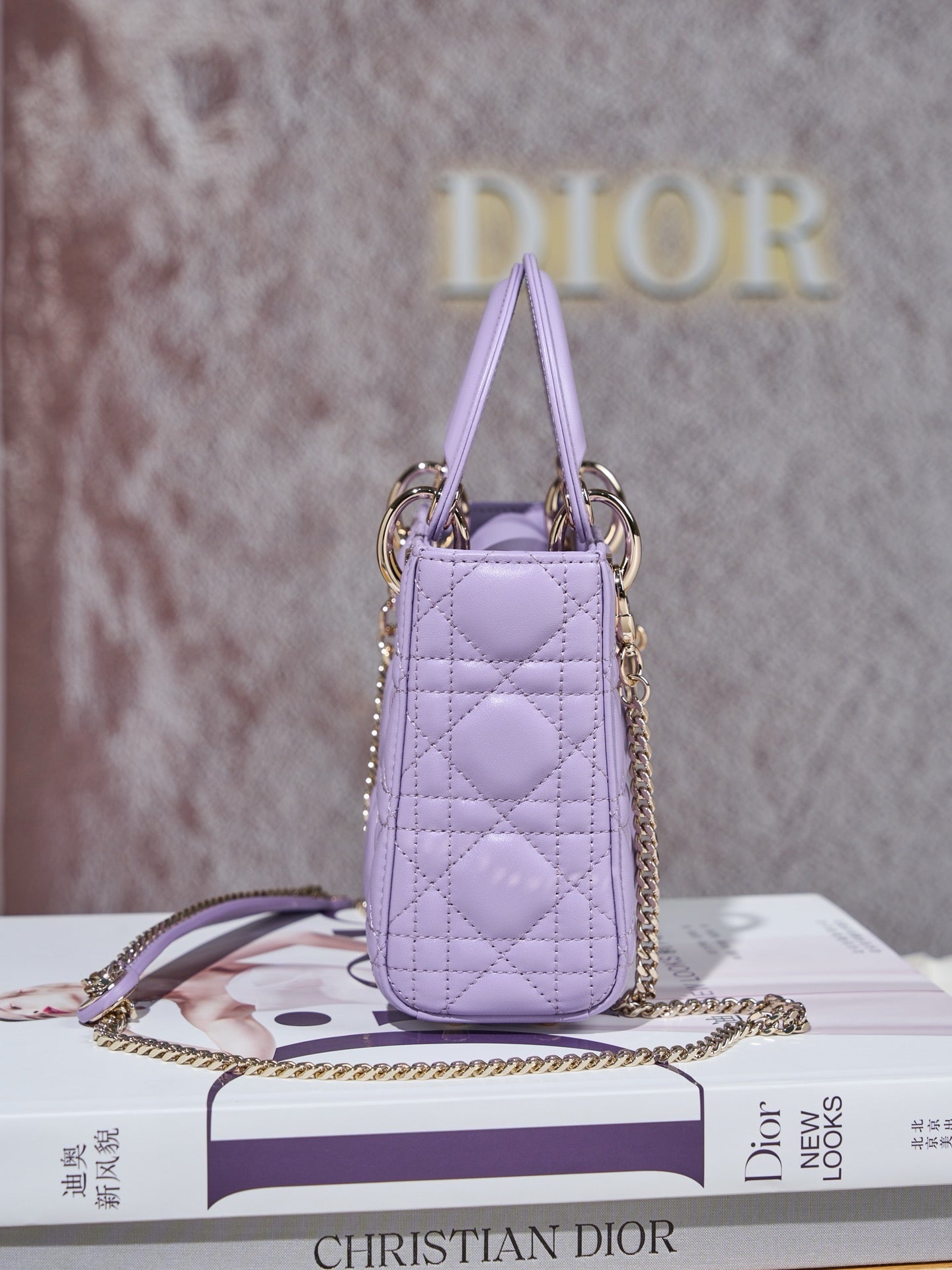 디올 레이디백 미니