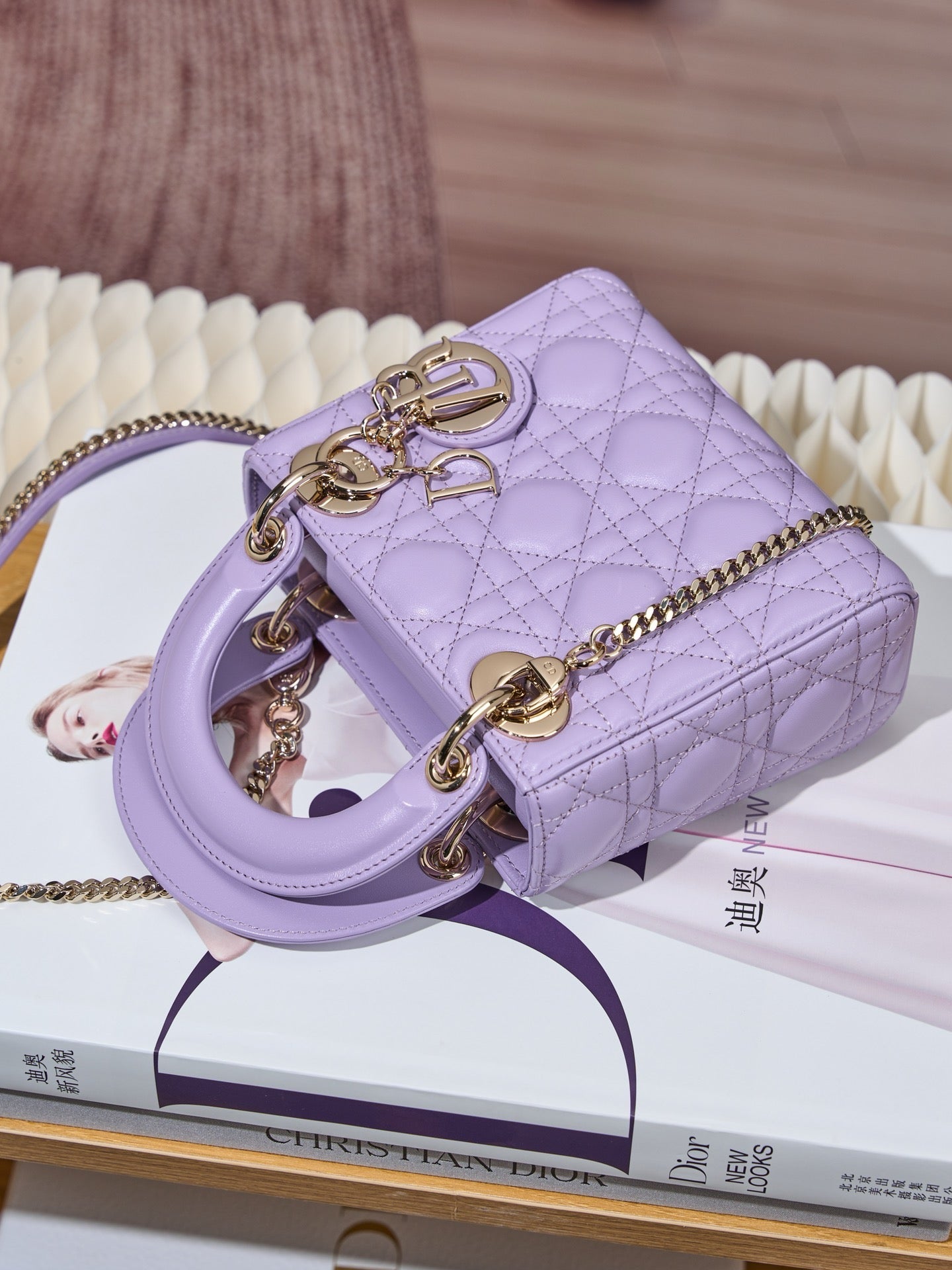 디올 레이디백 미니