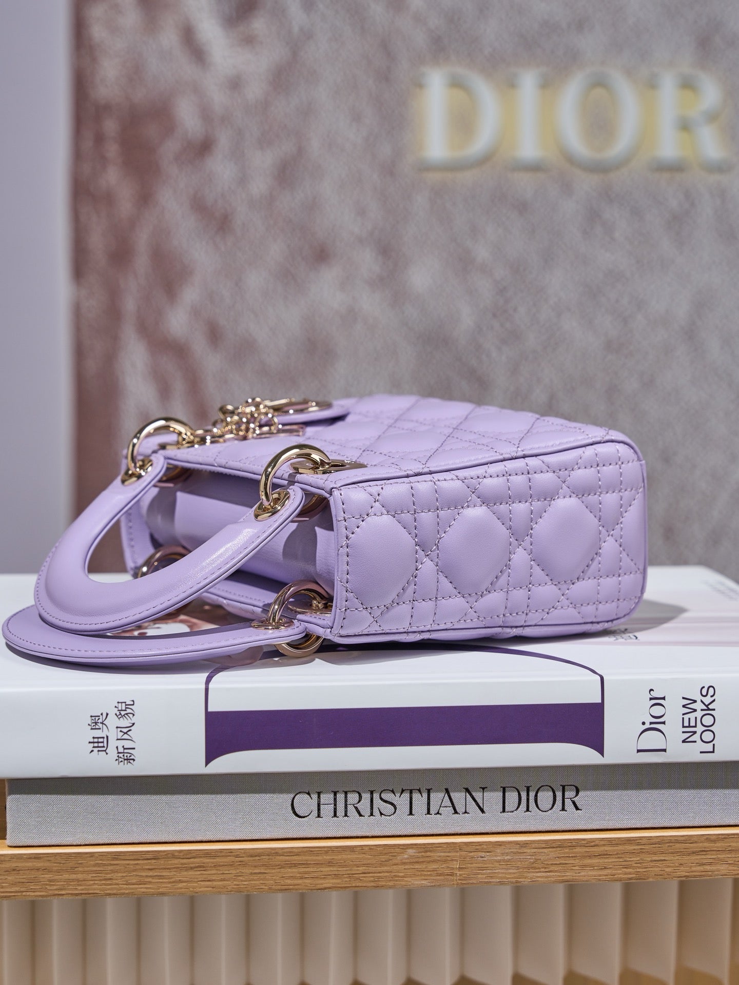 디올 레이디백 미니