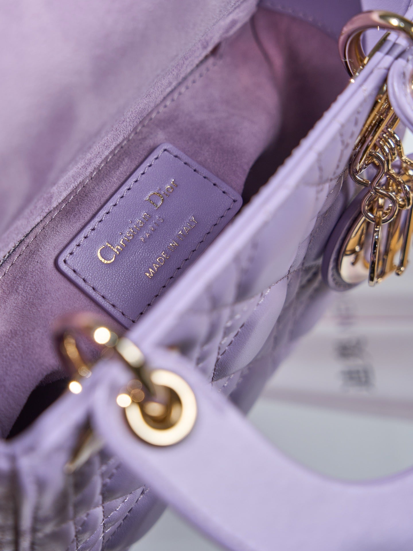 디올 레이디백 미니