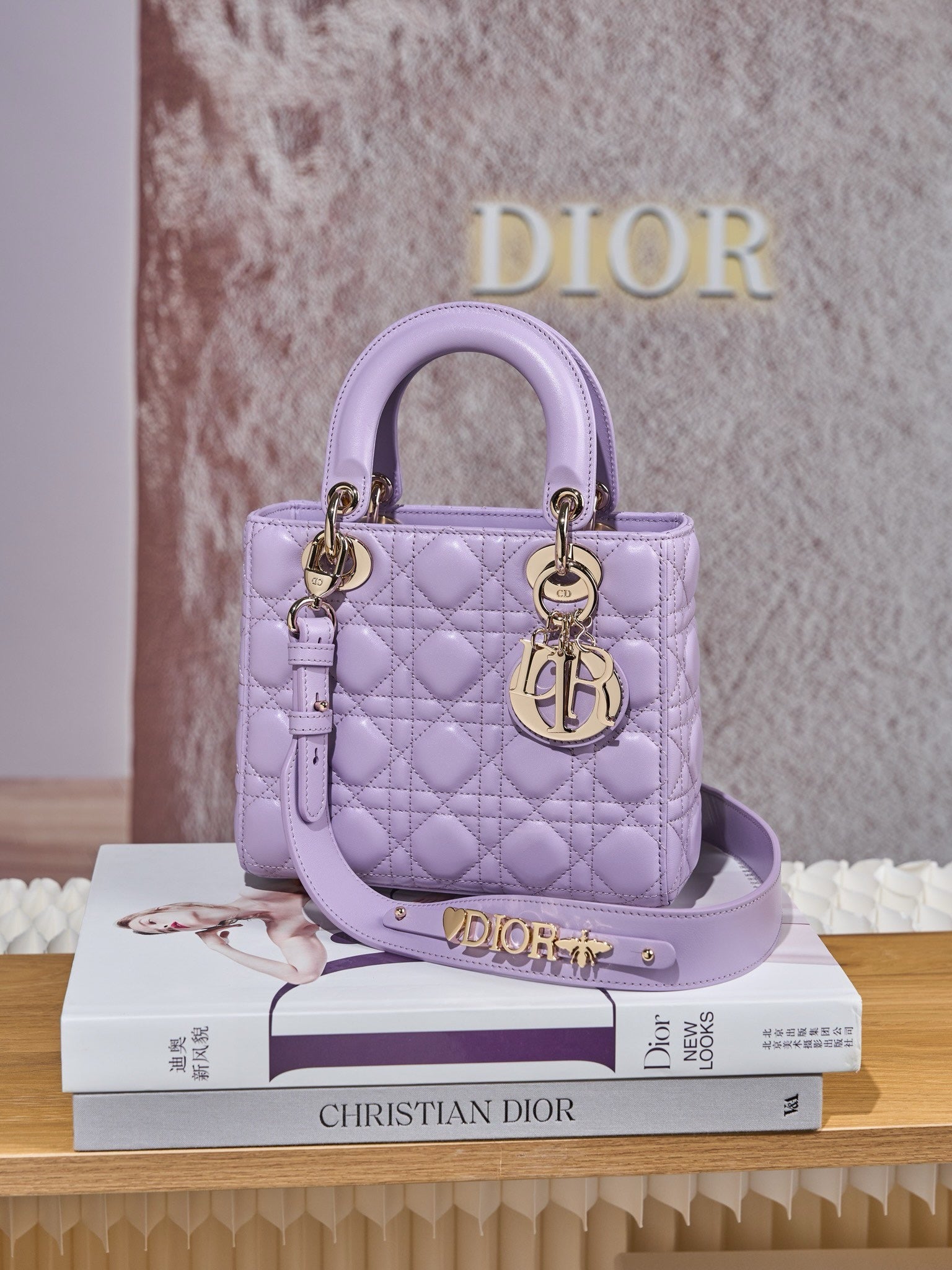 디올 레이디백 스몰