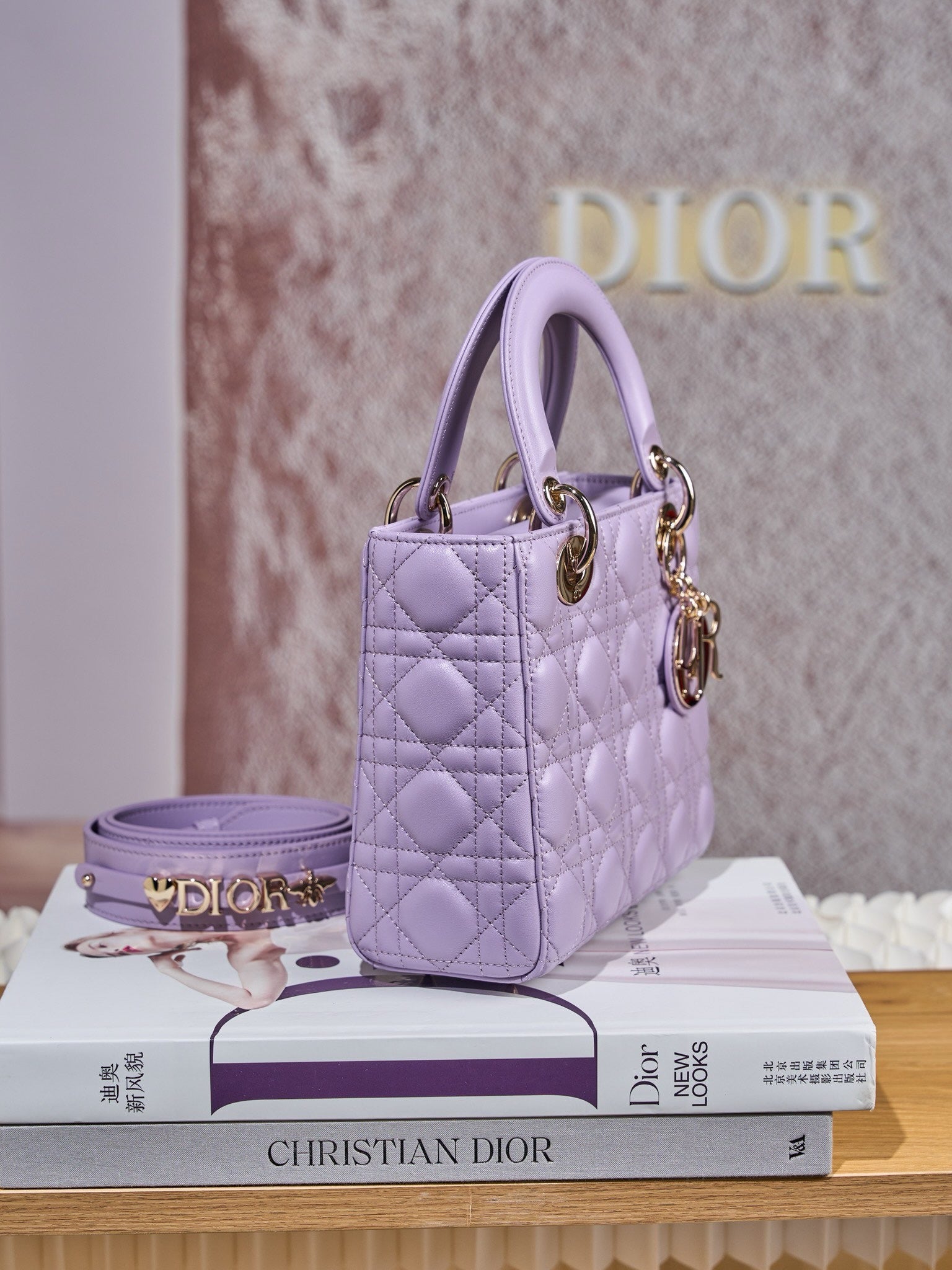 디올 레이디백 스몰