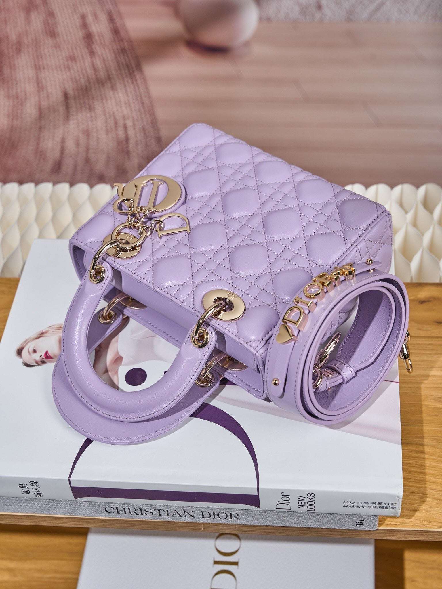 디올 레이디백 스몰