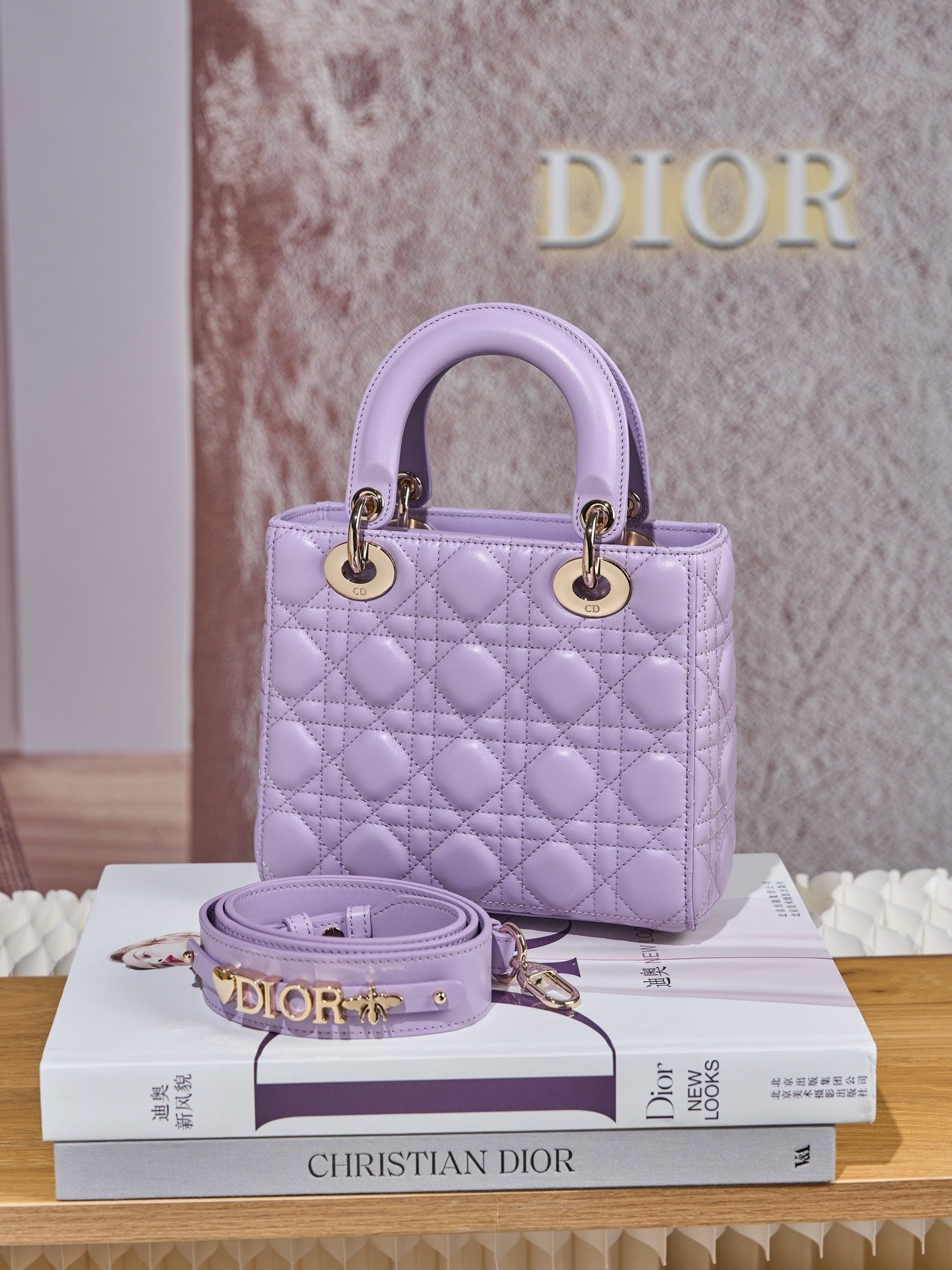 디올 레이디백 스몰