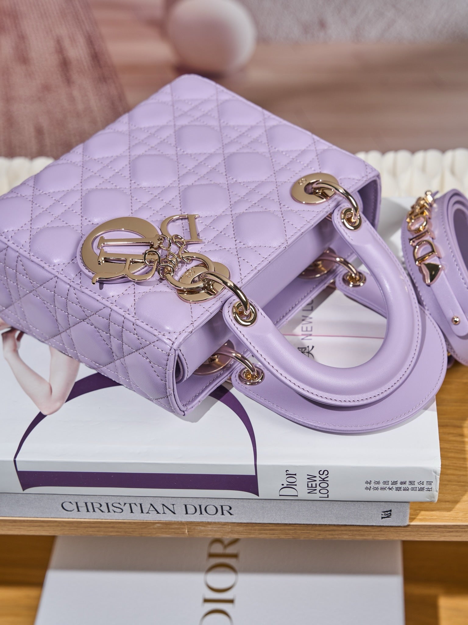 디올 레이디백 스몰