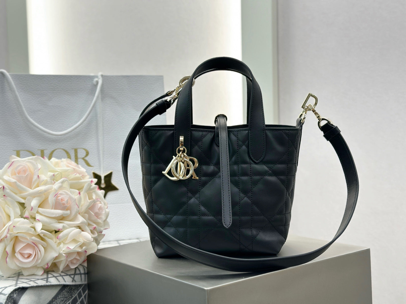 디올 버티컬 뚜주흐백 스몰