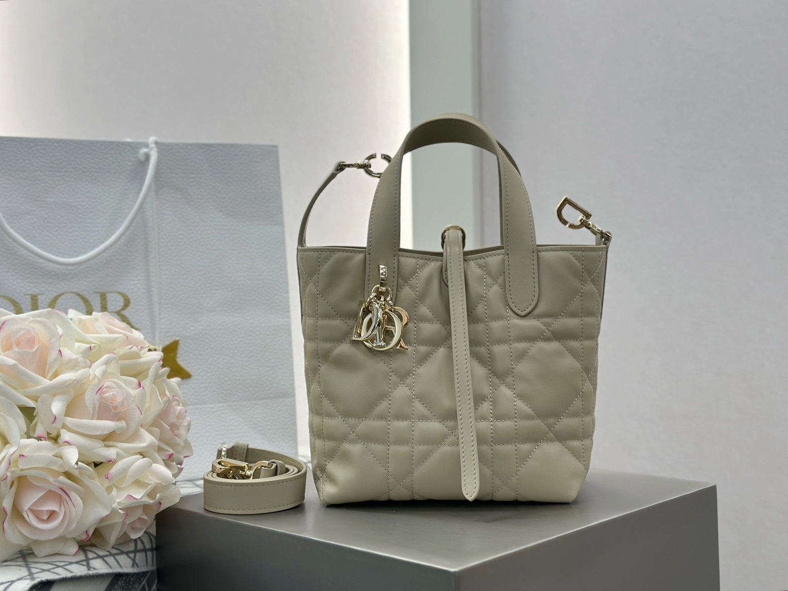 디올 버티컬 뚜주흐백 스몰