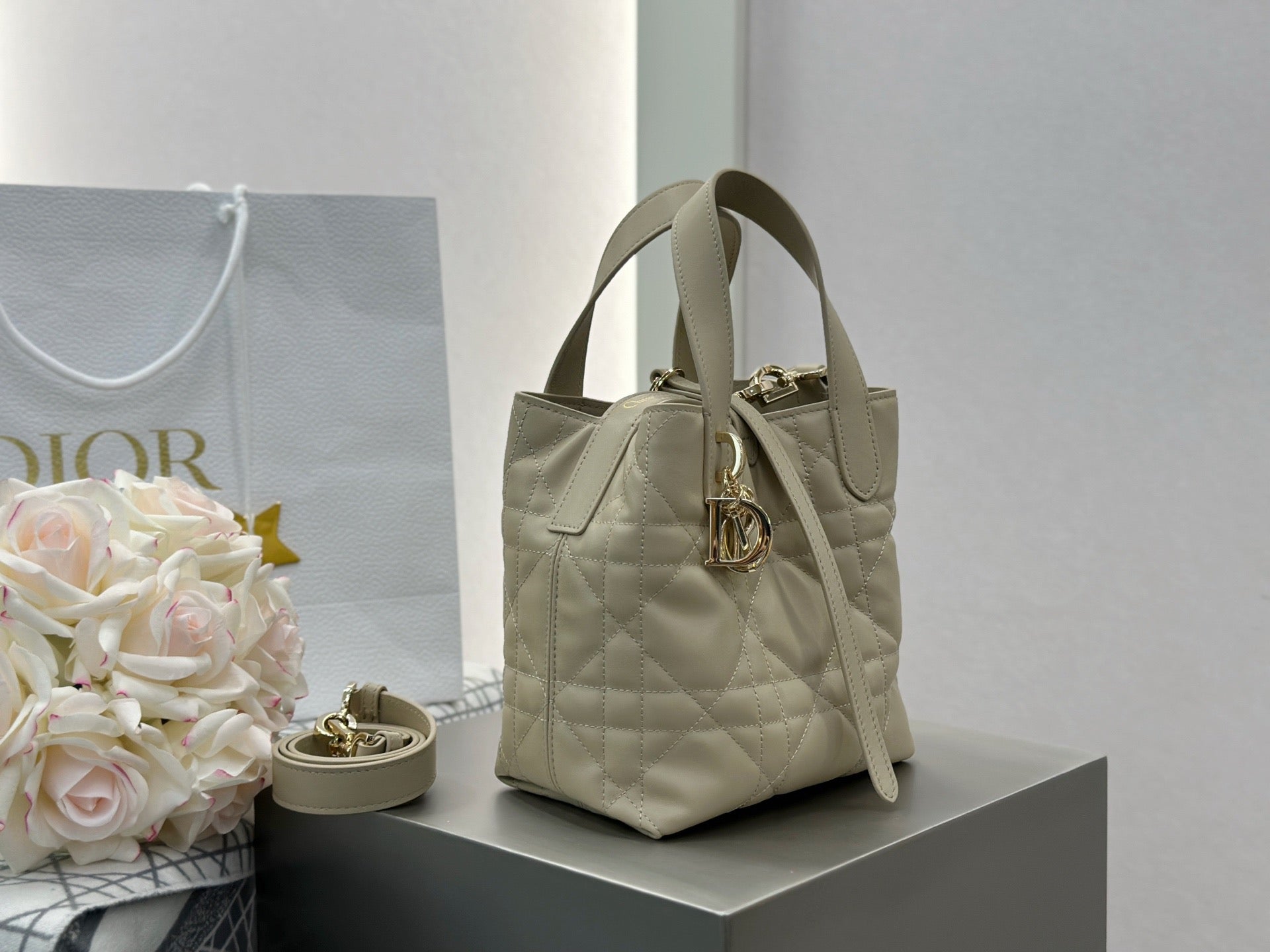 디올 버티컬 뚜주흐백 스몰