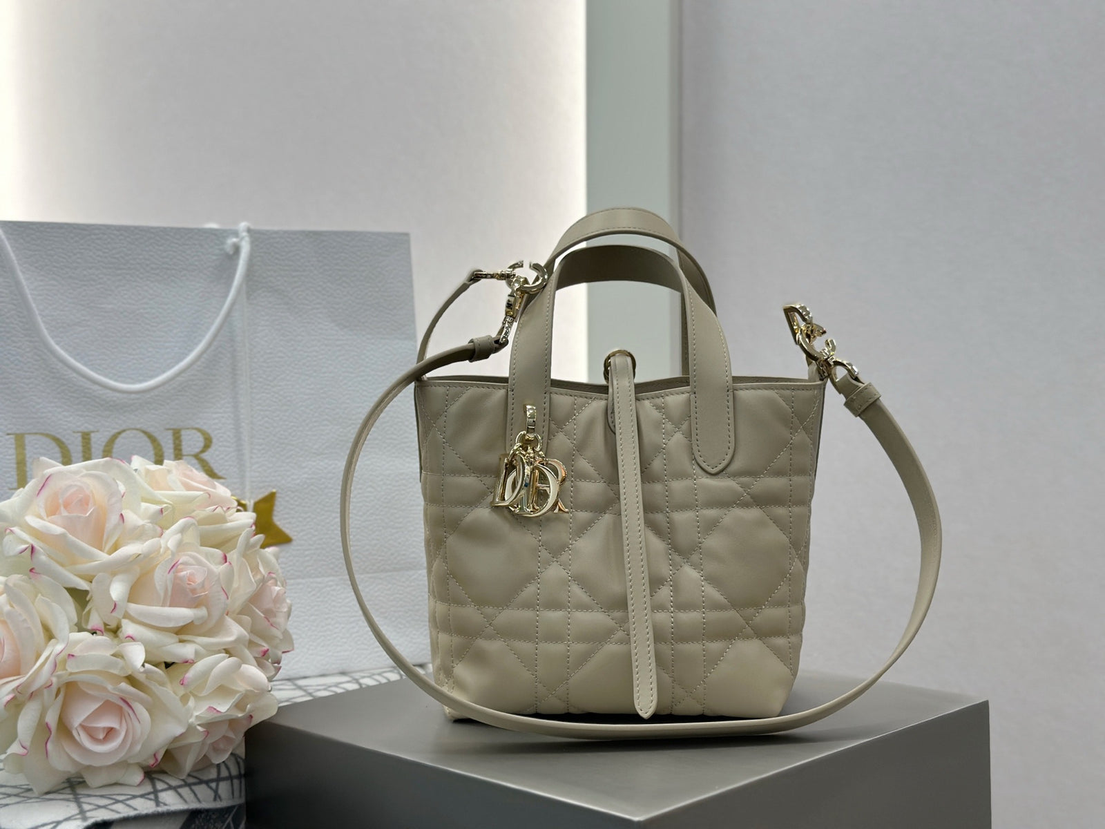 디올 버티컬 뚜주흐백 스몰