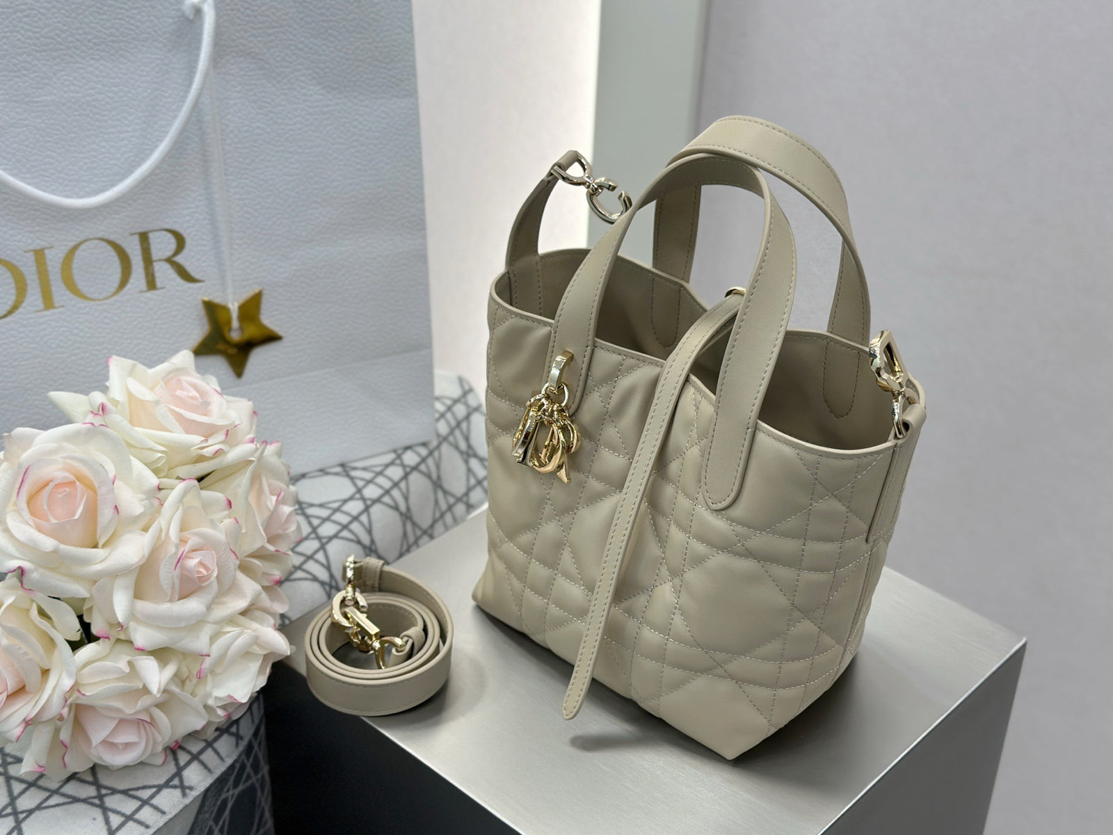 디올 버티컬 뚜주흐백 스몰