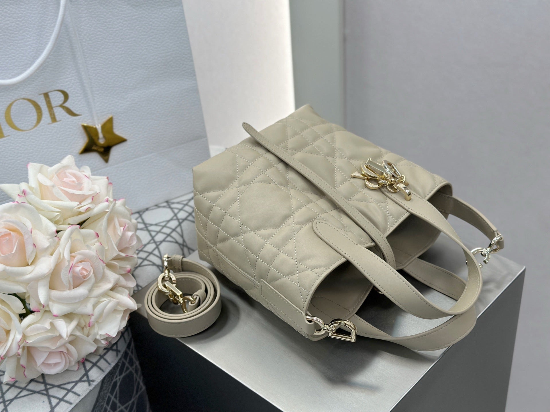 디올 버티컬 뚜주흐백 스몰