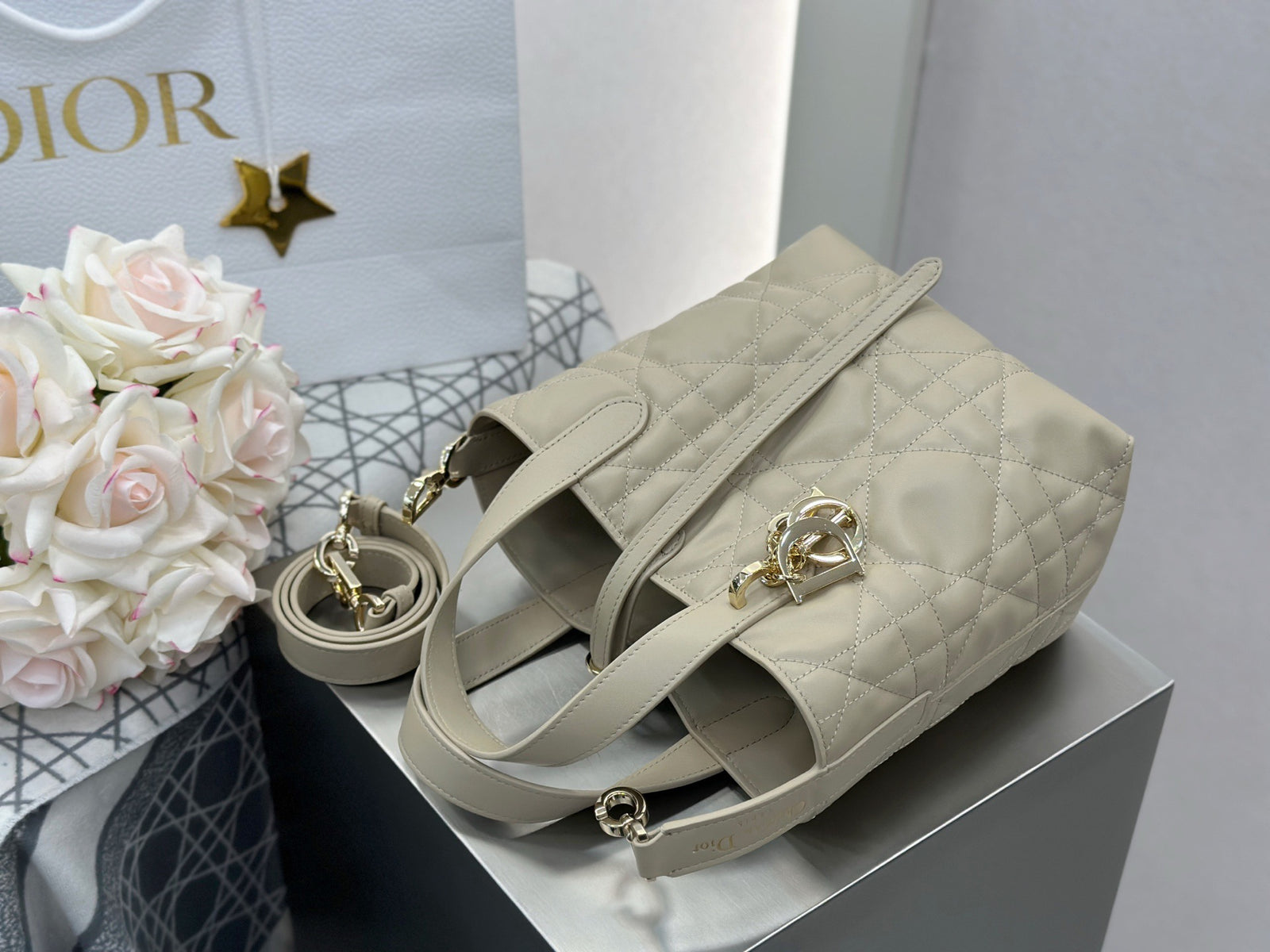 디올 버티컬 뚜주흐백 스몰