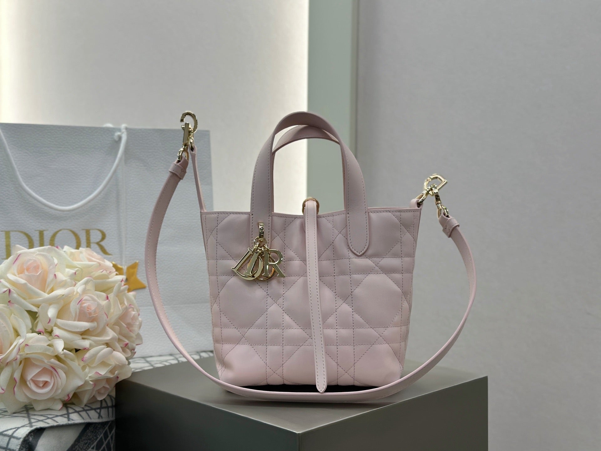 디올 버티컬 뚜주흐백 스몰