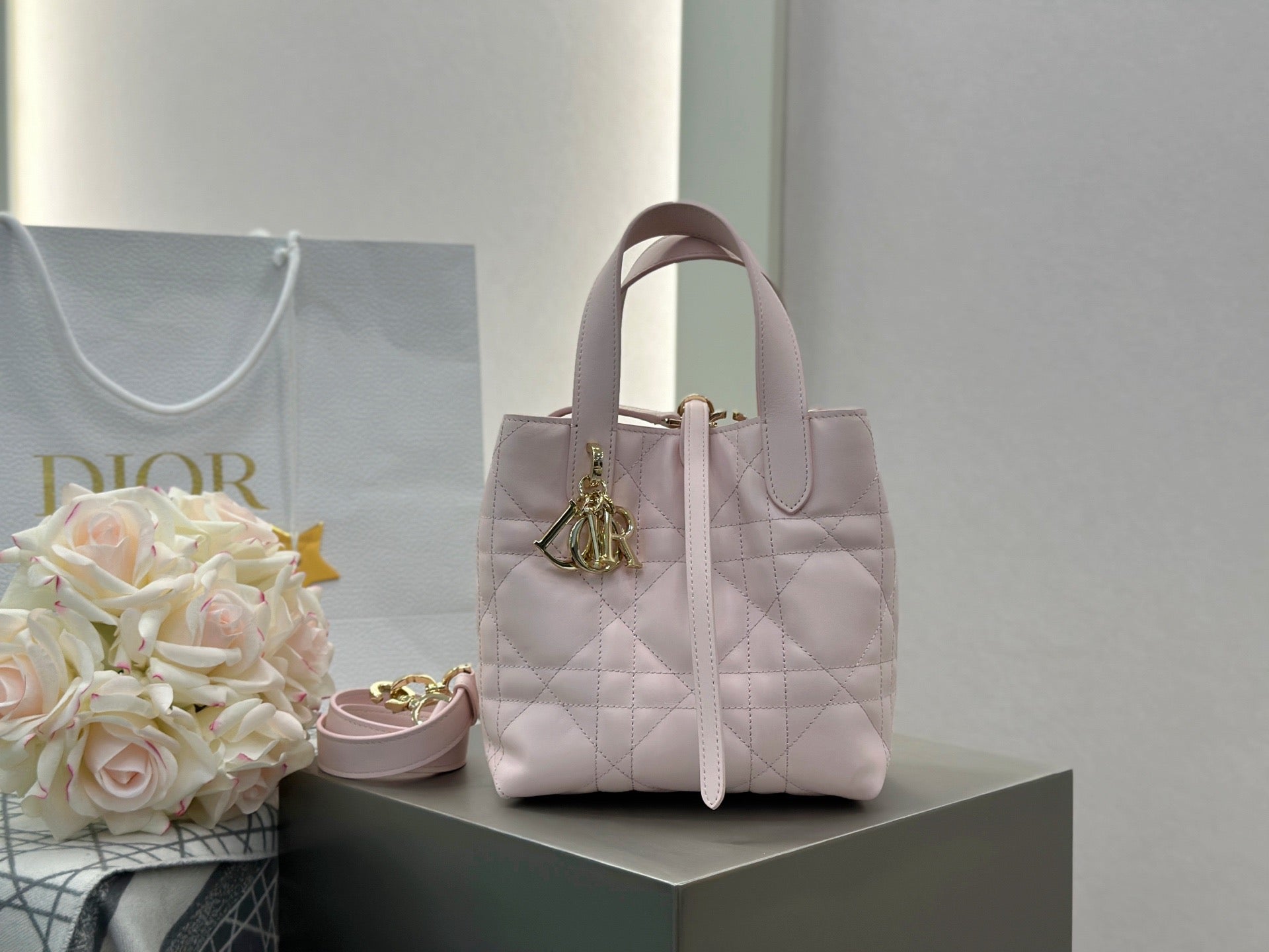 디올 버티컬 뚜주흐백 스몰