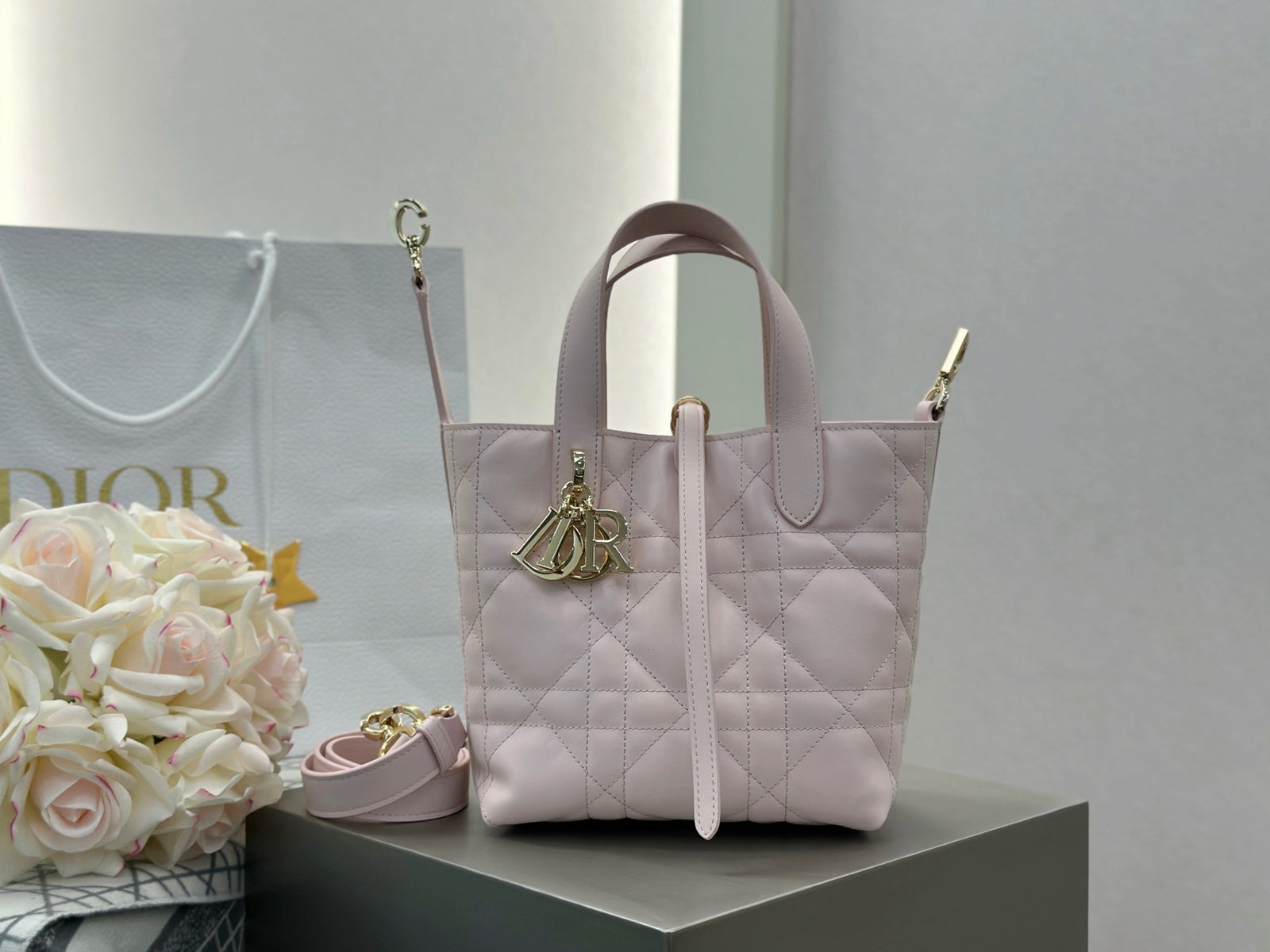 디올 버티컬 뚜주흐백 스몰