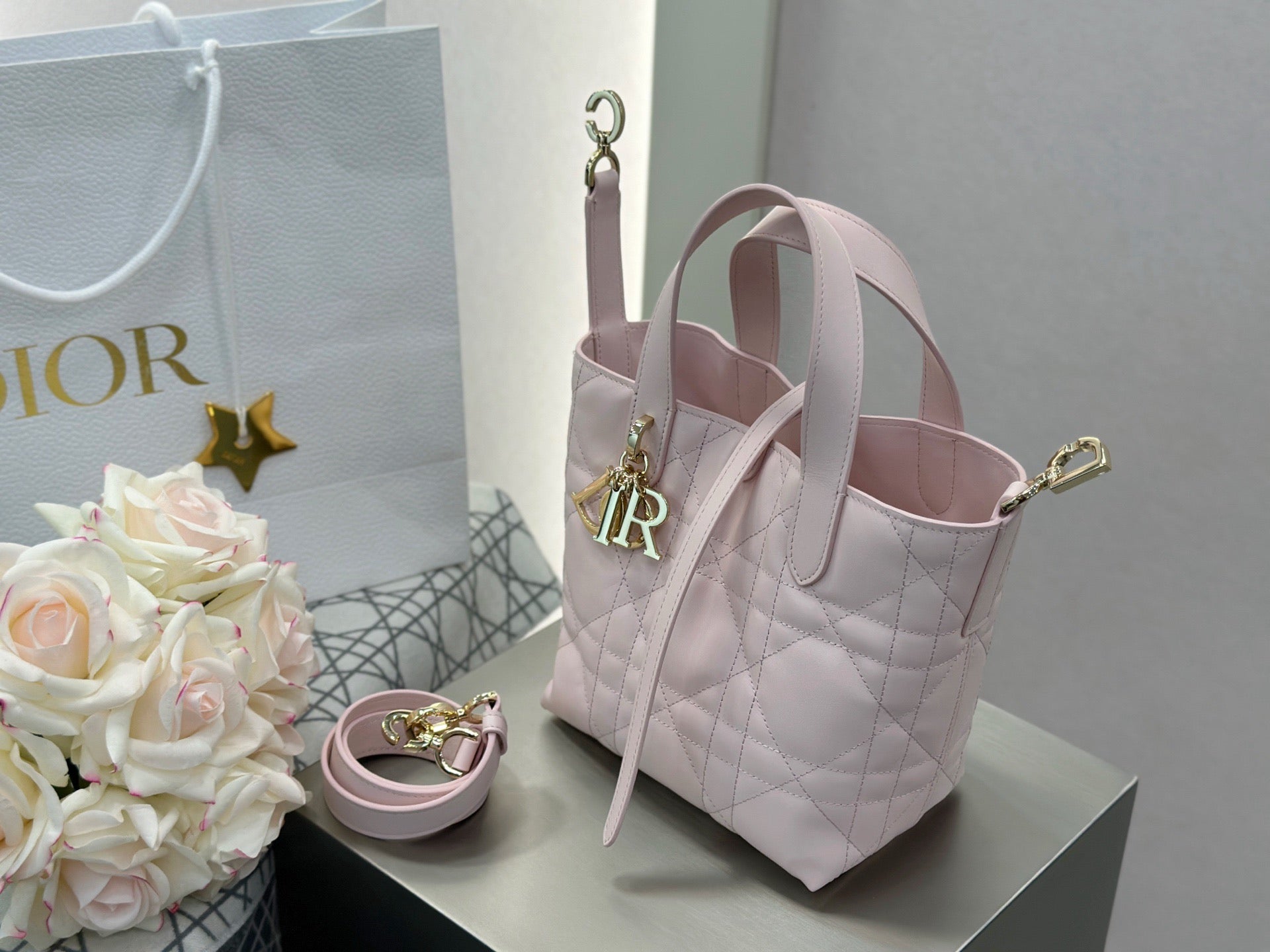 디올 버티컬 뚜주흐백 스몰