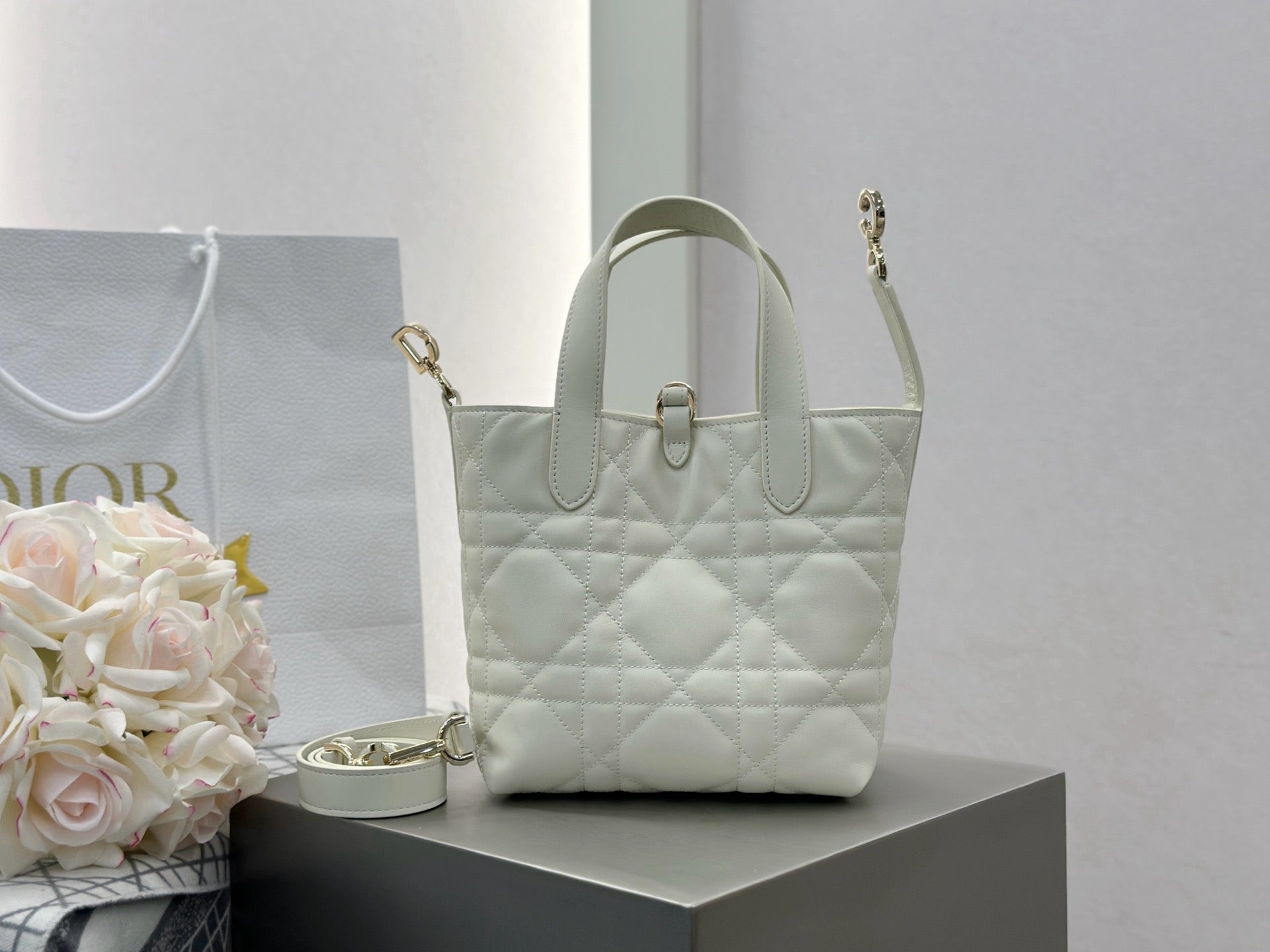 디올 버티컬 뚜주흐백 스몰