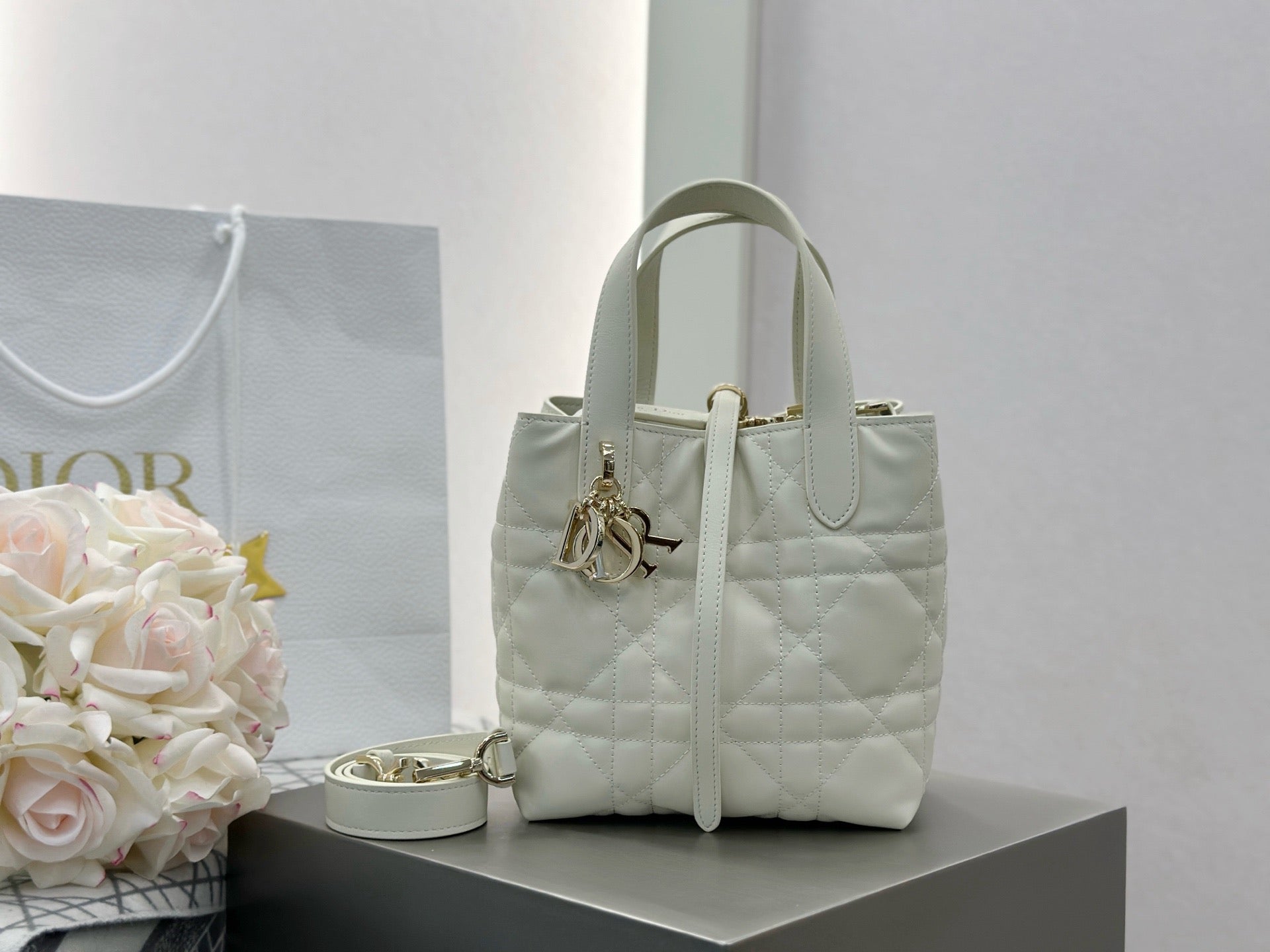 디올 버티컬 뚜주흐백 스몰