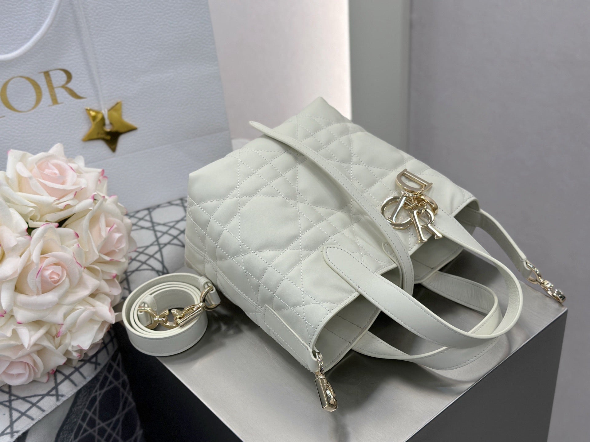 디올 버티컬 뚜주흐백 스몰