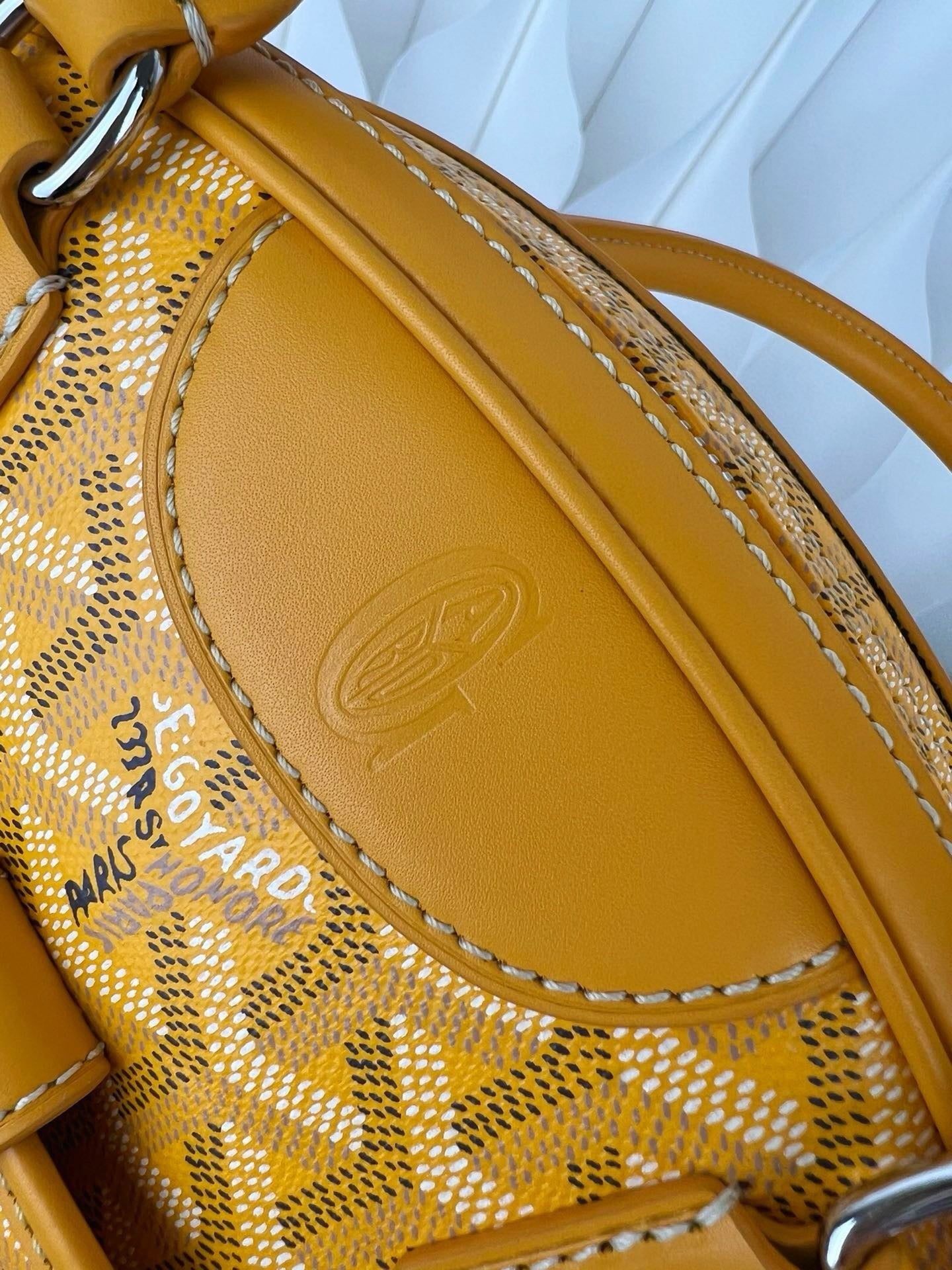 고야드 잔느백 미니