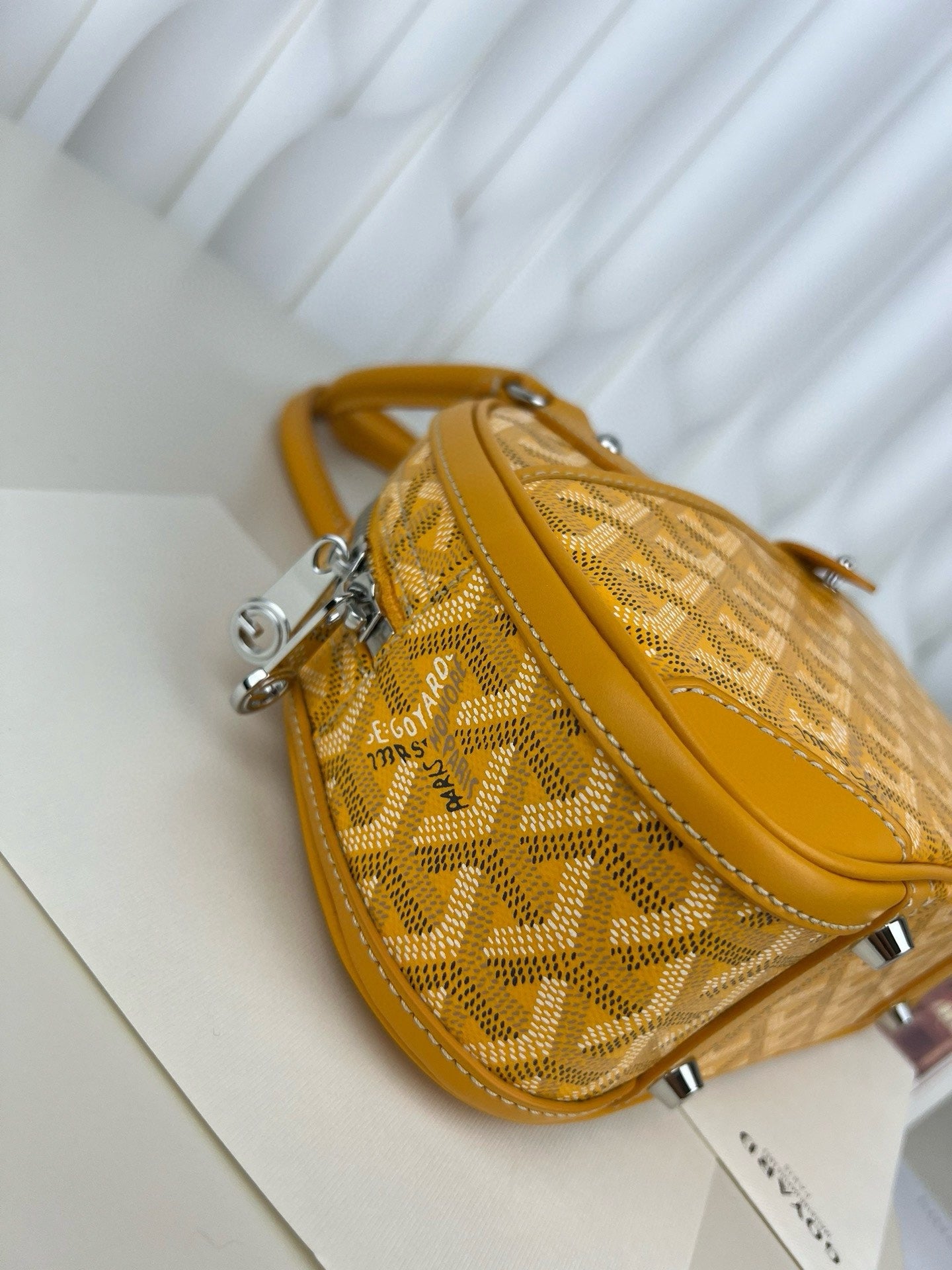 고야드 잔느백 미니