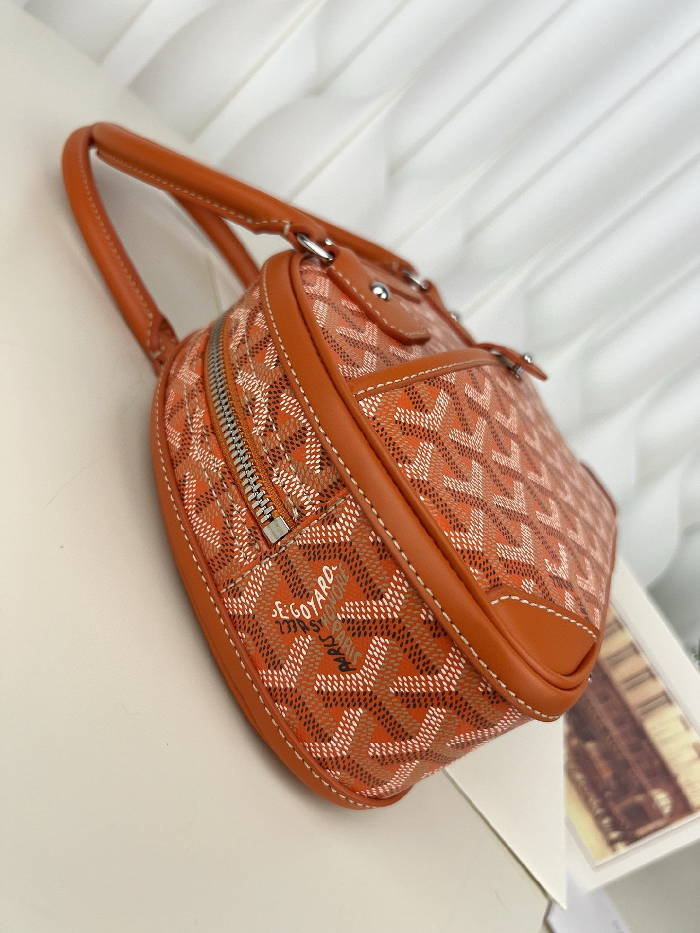 고야드 잔느백 미니