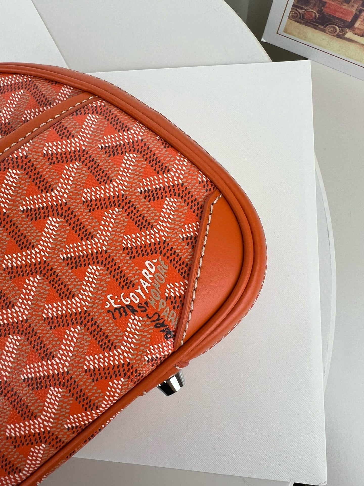 고야드 잔느백 미니