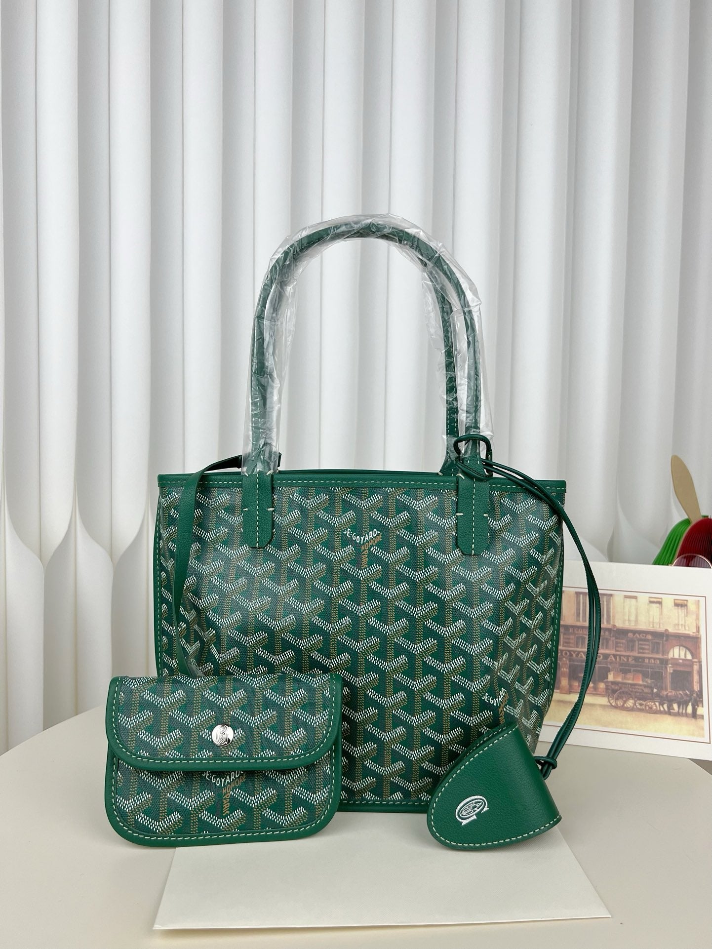 고야드 미니 앙주