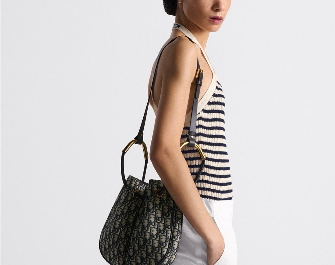 디올 오블리크 노리타 숄더백 미디움