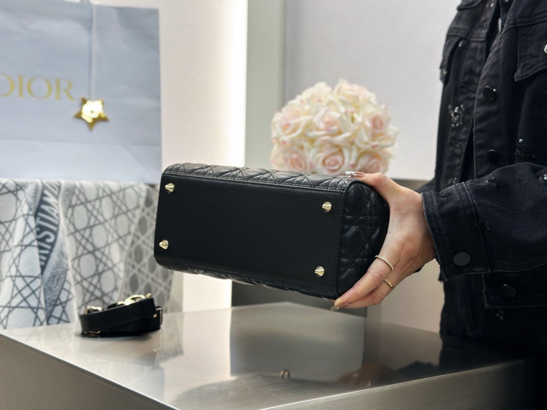 디올 레이디백 미디움