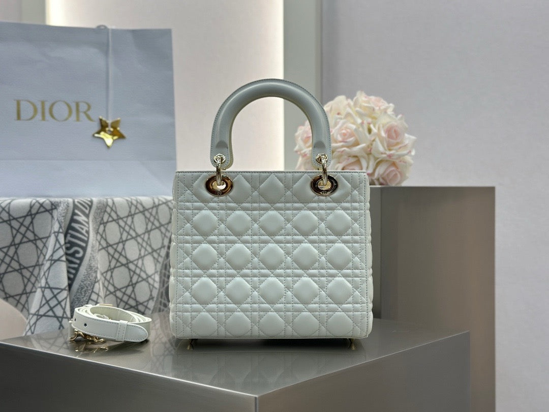 디올 레이디백 미디움
