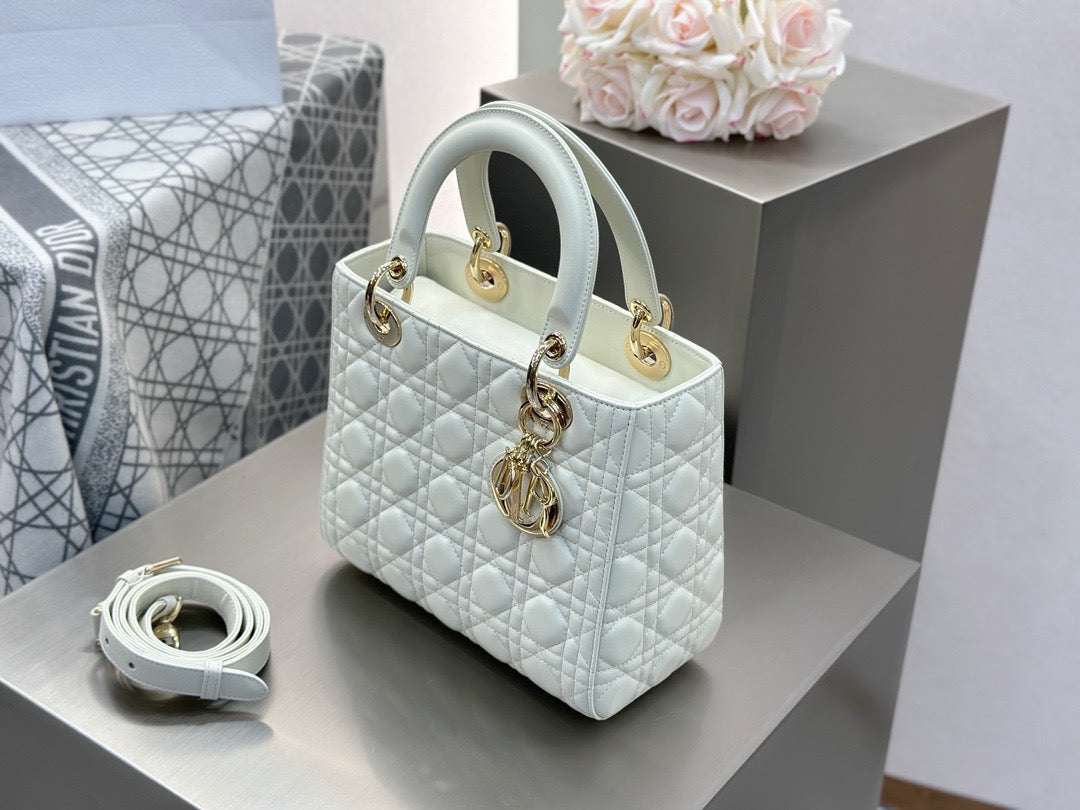 디올 레이디백 미디움