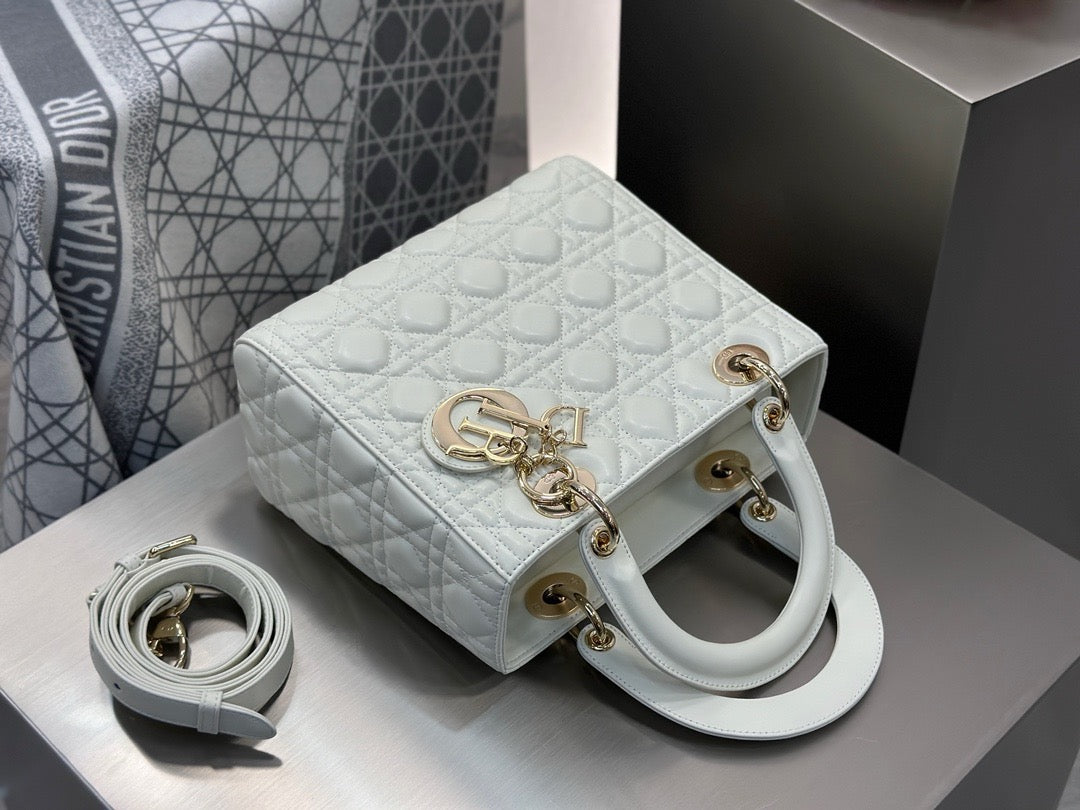 디올 레이디백 미디움