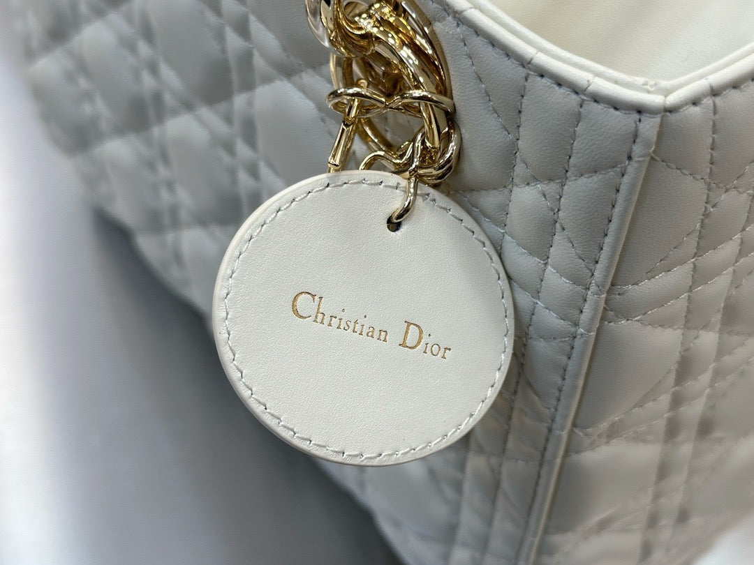 디올 레이디백 미디움