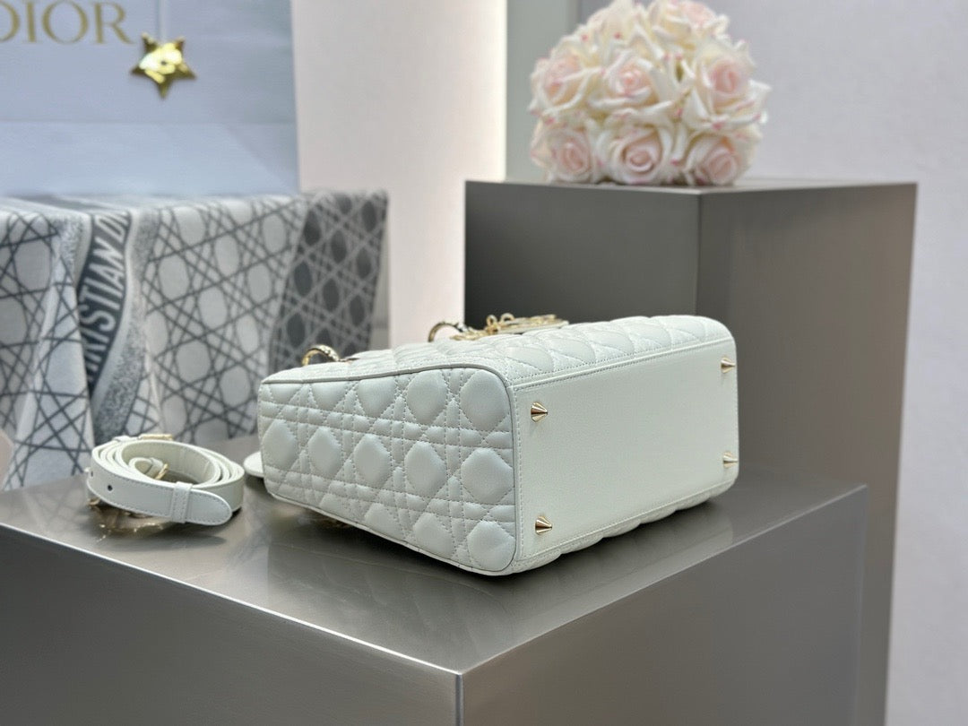 디올 레이디백 미디움