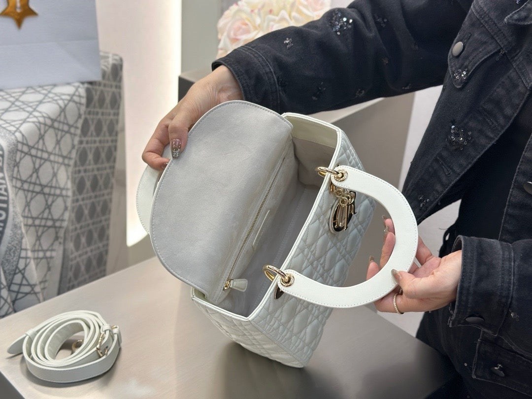 디올 레이디백 미디움