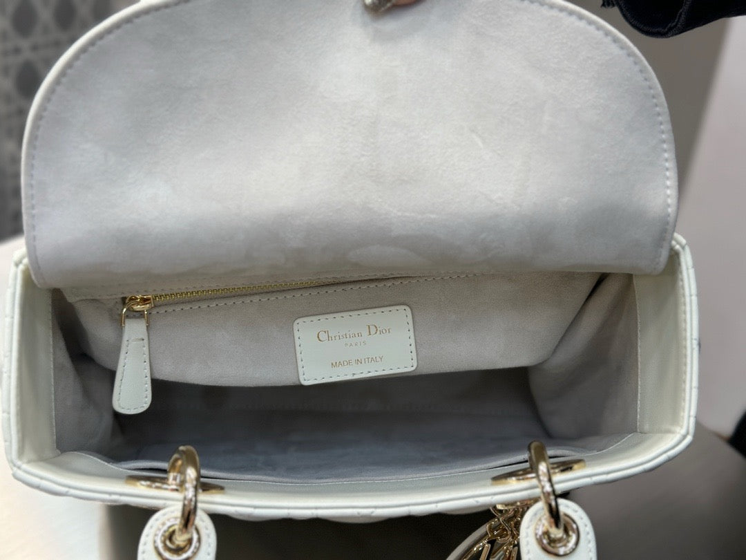 디올 레이디백 미디움