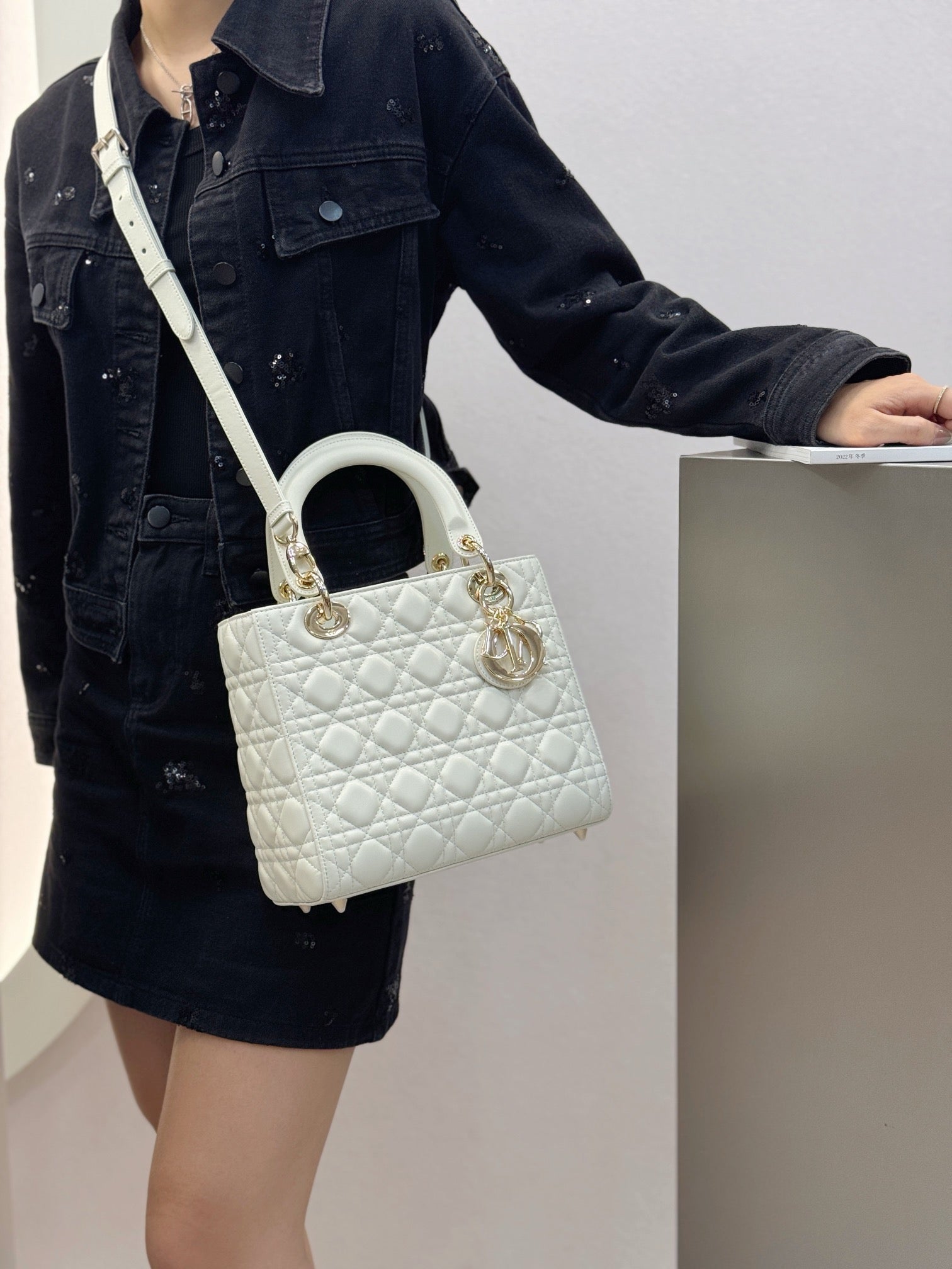 디올 레이디백 미디움