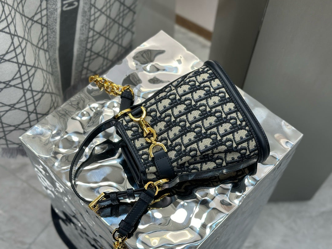 디올 C'est 오블리크 버킷백 스몰