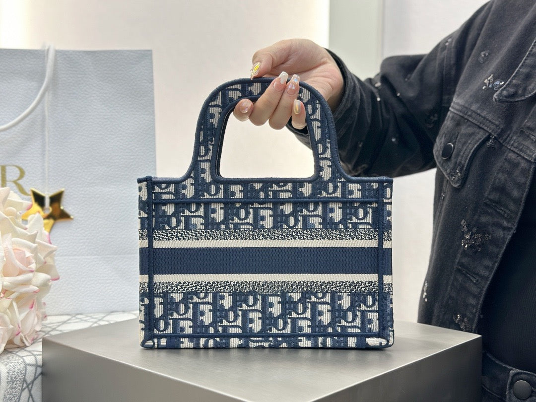 디올 오블리크 북토트백 미니