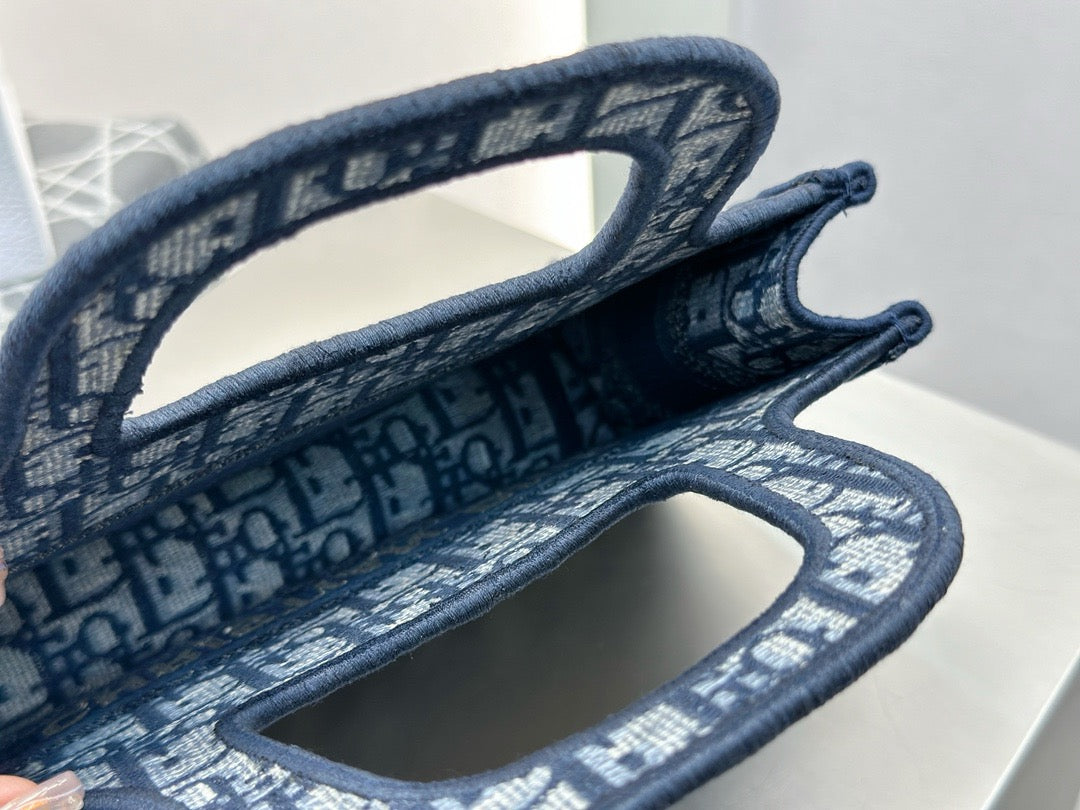 디올 오블리크 북토트백 미니