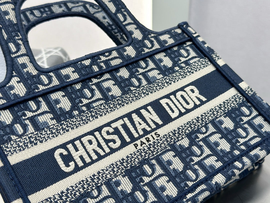 디올 오블리크 북토트백 미니