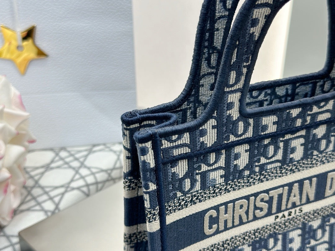 디올 오블리크 북토트백 미니